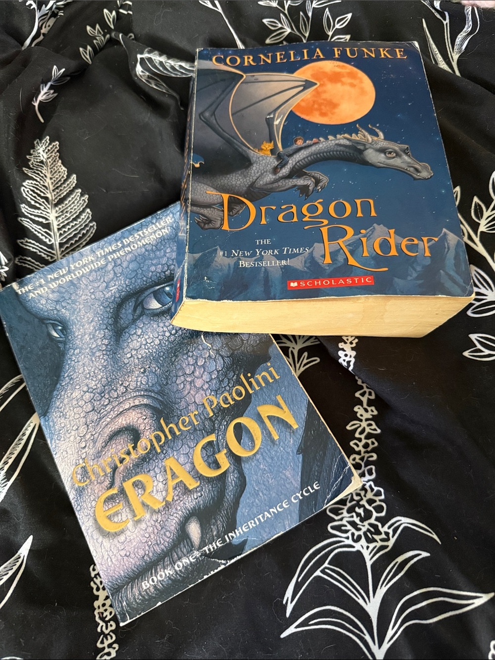 (2) used kids books